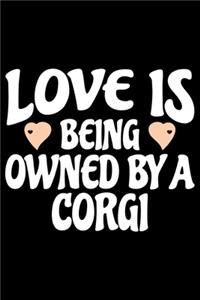 Love Is Being Owned By Corgi
