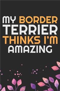 My Border Terrier Thinks I'm Amazing