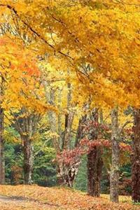 North Carolina Notebook