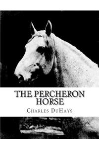 Percheron Horse