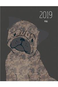 2019 Pug