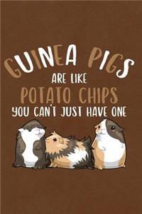 Guinea Pigs Are Like Potato Chips You Can't Just Have One
