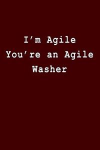 I'm Agile You're an Agile Washer