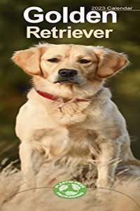 Golden Retriever 2023 Slim Calendar