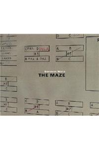 Donovan Wylie: The Maze