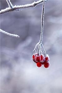 Frosty Red Berries on a Branch in the Winter Journal