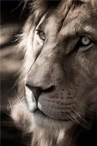 Lion Notebook