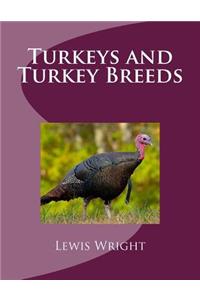 Turkeys and Turkey Breeds