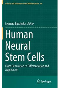 Human Neural Stem Cells