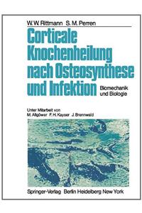 Corticale Knochenheilung nach Osteosynthese und Infektion