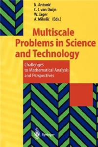 Multiscale Problems in Science and Technology