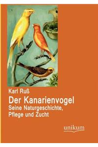 Kanarienvogel