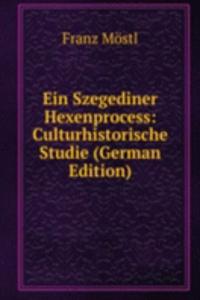 Ein Szegediner Hexenprocess: Culturhistorische Studie (German Edition)