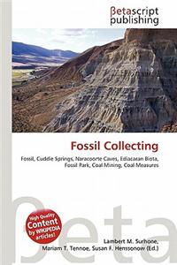 Fossil Collecting