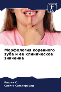 Морфология коренного зуба и ее клиническо