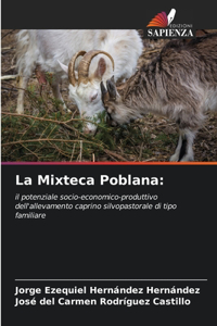 Mixteca Poblana