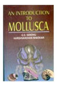 An Introduction to Mollusca