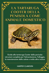 La Tartaruga Cooter Della Penisola Come Animale Domestico