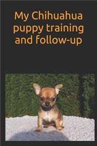 My Chihuahua puppy training and follow-up