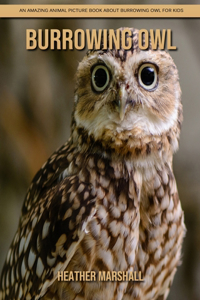 Burrowing Owl