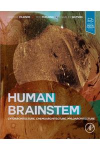 Human Brainstem: Cytoarchitecture, Chemoarchitecture, Myeloarchitecture