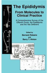 The Epididymis: From Molecules to Clinical Practice