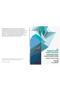 The Intellectual Property Pyramid Assessment: