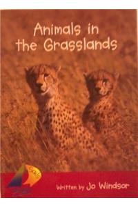 Rus Animals In The Grasslands - Sails Em