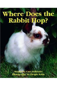 Ready Readers, Stage 2, Book 30, Where Does the Rabbit Hop?, Big Book