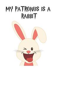 My Patronus Is A Rabbit