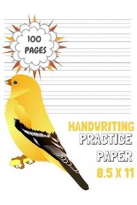 Handwriting Practice Paper