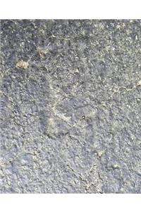 School Composition Book Blacktop Driveway Surface