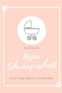 Meine Schwangerschaft Große Dinge Beginnen Oft Klitzeklein Tagebuch