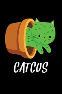 Catcus