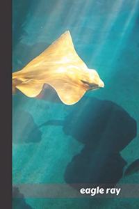 Eagle Ray