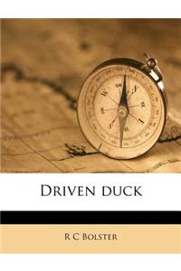 Driven duck