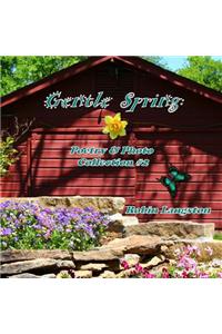 Gentle Spring