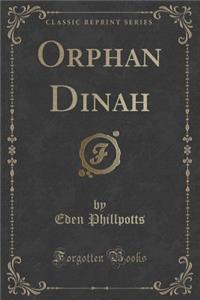 Orphan Dinah (Classic Reprint)