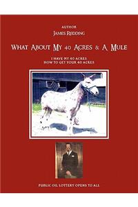 What about My 40 Acres & a Mule