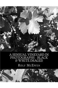 A Sensual Vineyard in Photographs - Black & White Images