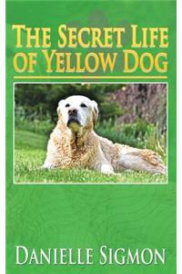 Secret Life of Yellow Dog