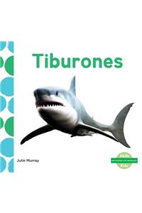 Tiburones (Sharks) (Spanish Version)