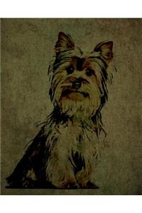 Yorkshire Terrier