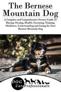 The Bernese Mountain Dog