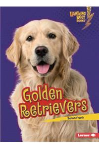 Golden Retrievers