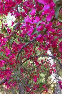 Springtime Journal Glorious Flowering Tree: (Notebook, Diary, Blank Book)