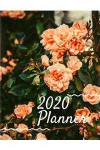 2020 Planner Weekly