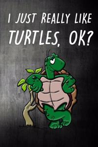 I Just Really Like Turtles, Ok?