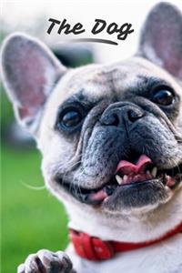 The Dog