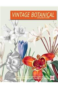 Vintage Botanical coloring Book For Adults For Adults